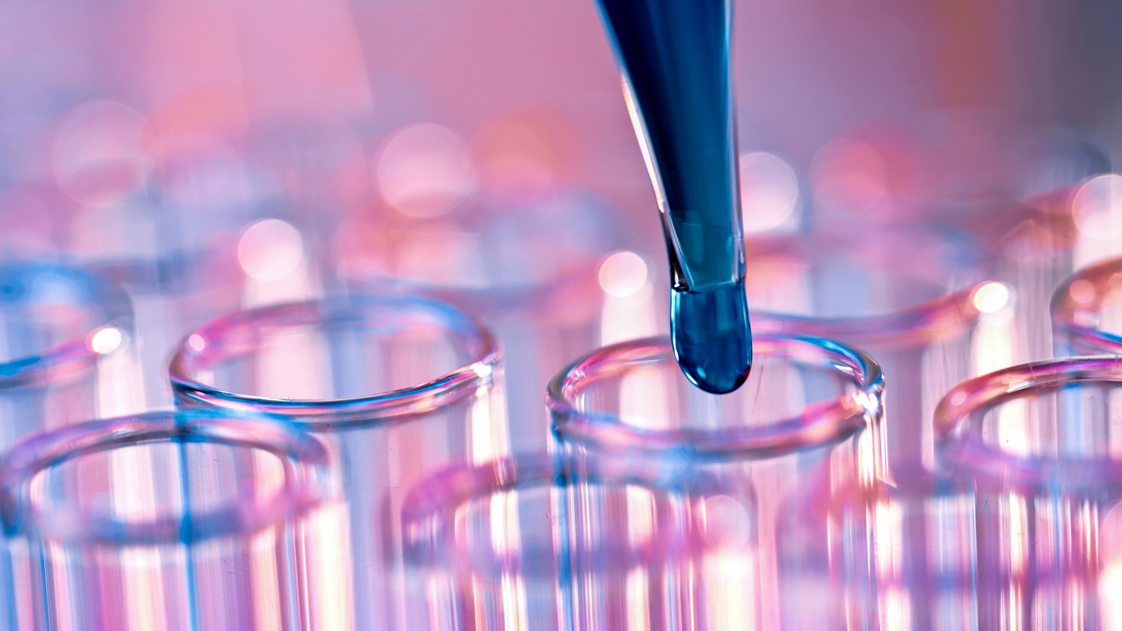 Pipette transferring blue liquid into test tubes for lab analysis.