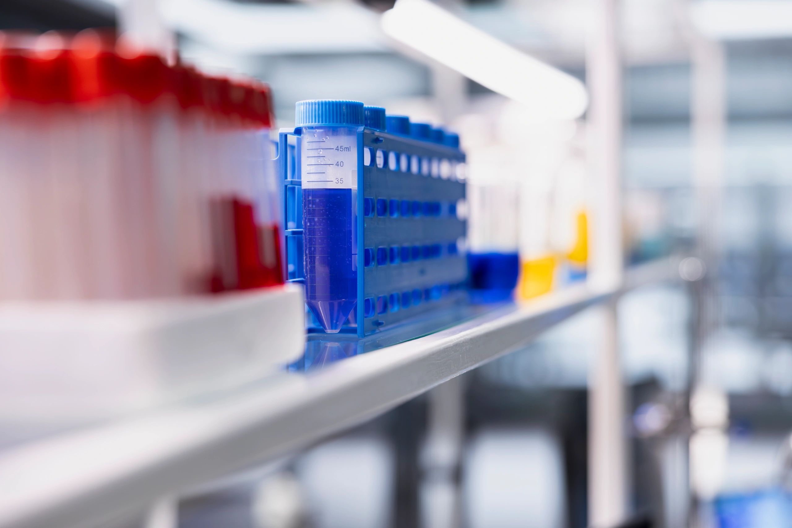 Laboratory glassware filled with blue and red solutions on a research workspace.